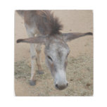 Long Eared Donkey Notepad