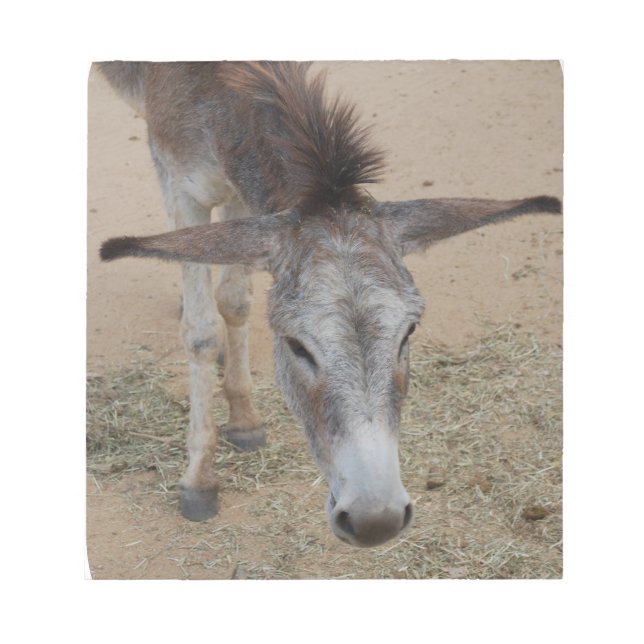 Long Eared Donkey Notepad (Front)