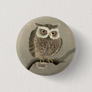 long-eared owl button