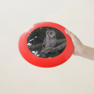 Long-eared Owl Close up Frisbee