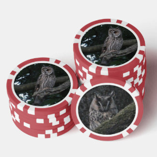 Long-eared Owl Close up Poker Chip