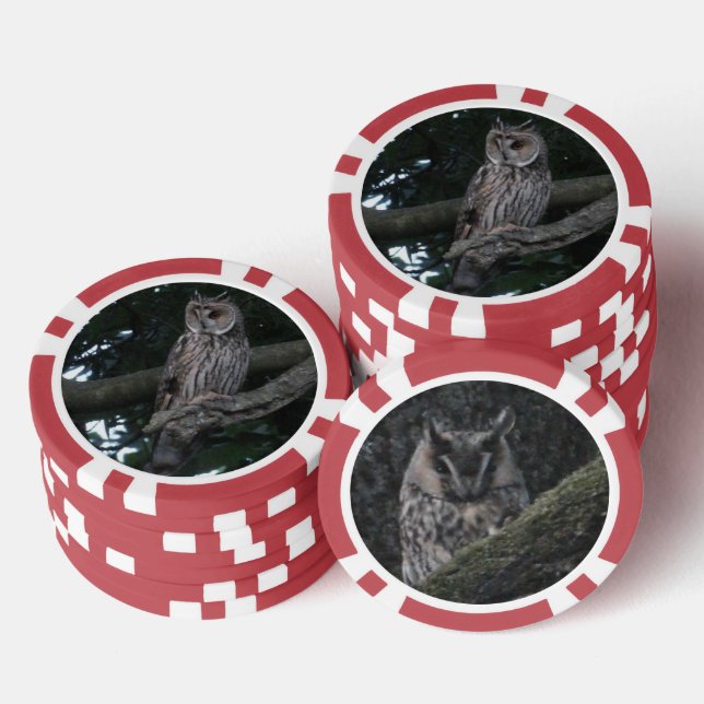 Long-eared Owl Close up Poker Chip (Stack)