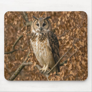 Long-eared Owl Hiding in Brown Leaves Mouse Pad
