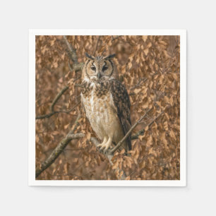 Long-eared Owl Hiding in Brown Leaves Napkins