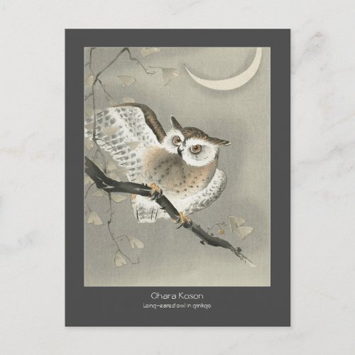 Long_eared owl in ginkgo _ Charcoal _ Ohara Koson  Postcard