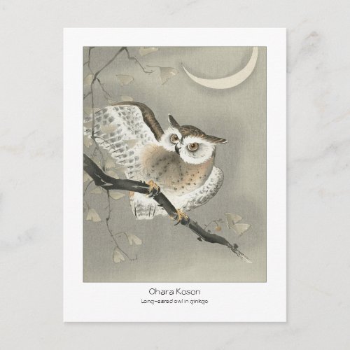 Long_eared owl in ginkgo _ Ohara Koson  title  Postcard