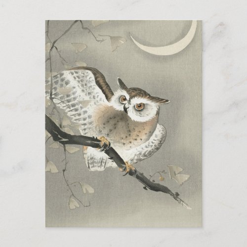 Long_eared owl in ginkgo _Ohara Koson _Vintage Art Postcard
