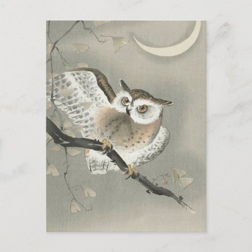 Long_eared Owl in Ginkgo Painting by Ohara Koson Postcard