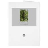 Long eared owl in tree - asio otus cards (Back)