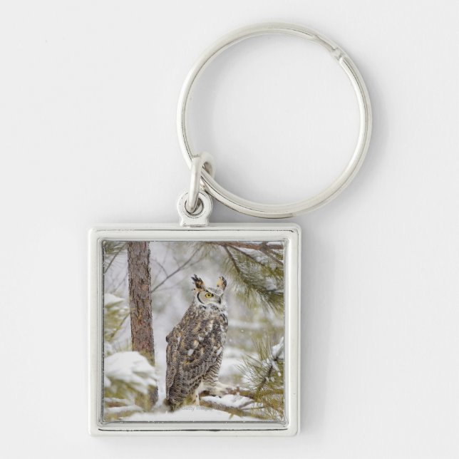 Long eared owl keychain (Front)