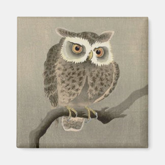 long-eared owl magnet