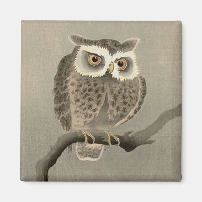 long-eared owl magnet (Front)