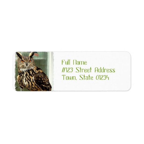 Long Eared Owl Mailing Labels