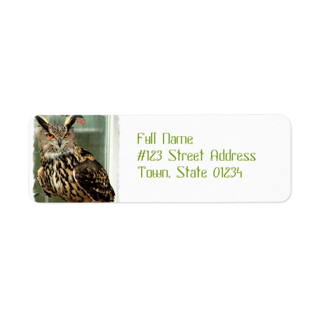 Long Eared Owl Mailing Labels (Front)