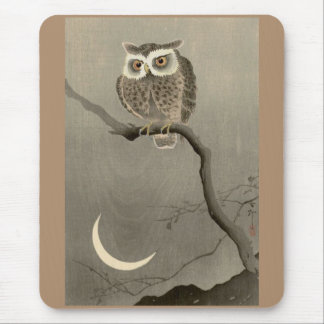 long-eared owl mouse pad