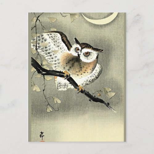 Long_Eared Owl on a Tree Branch by Ohara Koson Postcard