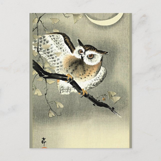 Long-Eared Owl on a Tree Branch by Ohara Koson Postcard (Front)