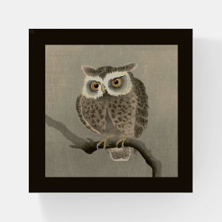 long-eared owl paperweight