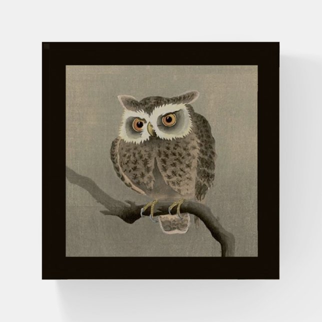 long-eared owl  paperweight (Front)