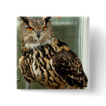 Long Eared Owl Pin