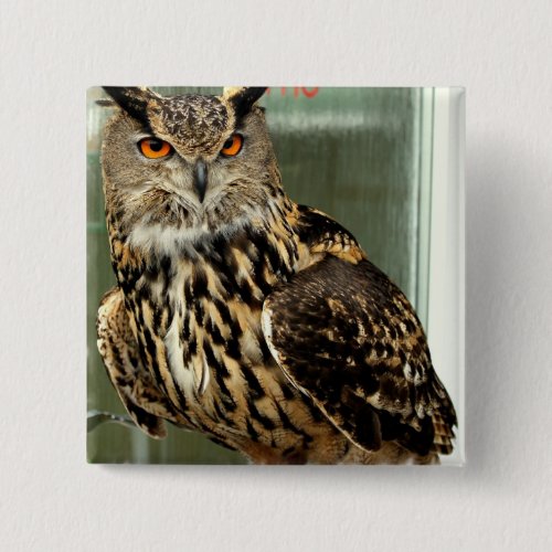 Long Eared Owl Pin