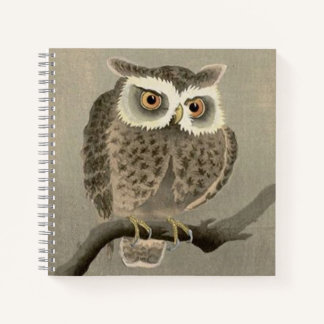long-eared owl print notebook