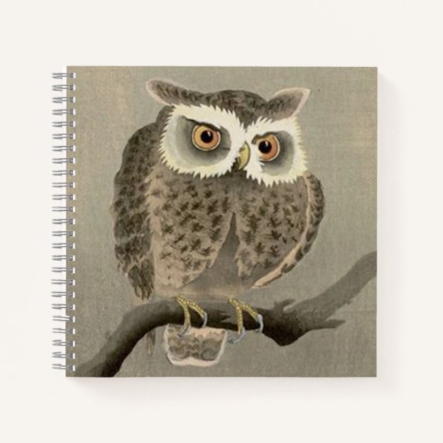 long-eared owl print notebook (Front)