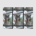 Long-Eared Owl Tissue Paper