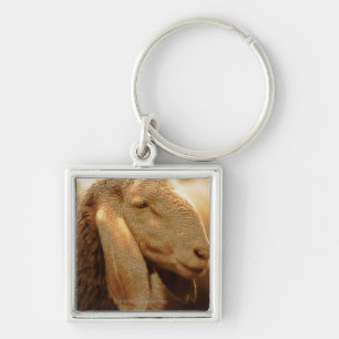 Long Eared Sheep Dolomites, Italy Keychain