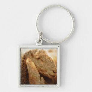 Long Eared Sheep Dolomites, Italy Keychain