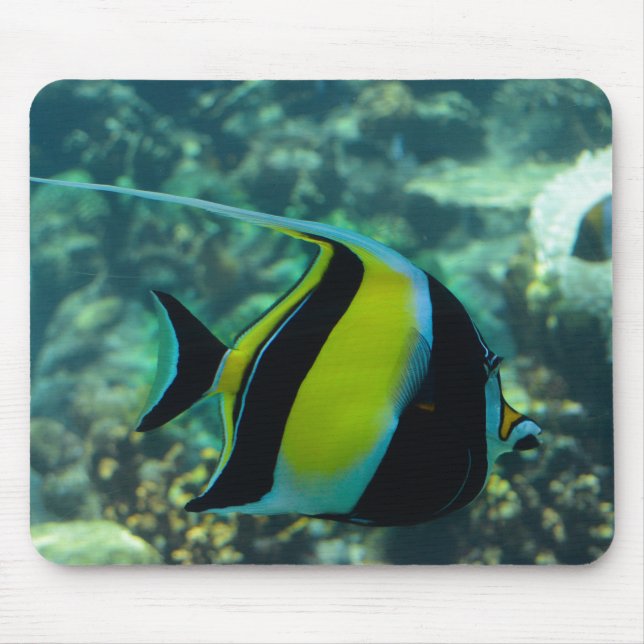 Long-Fin Banner Fish Mouse Pad (Front)