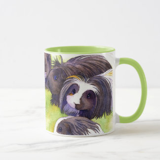 Long Hair Cavies Mug