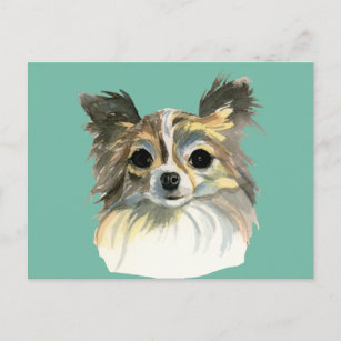 Long Hair Chihuahua Dog Watercolor Portrait Postcard