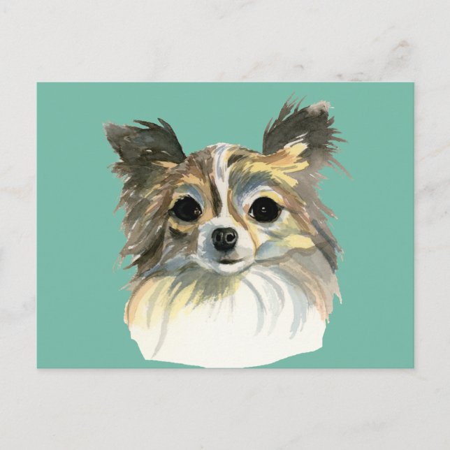 Long Hair Chihuahua Dog Watercolor Portrait Postcard (Front)