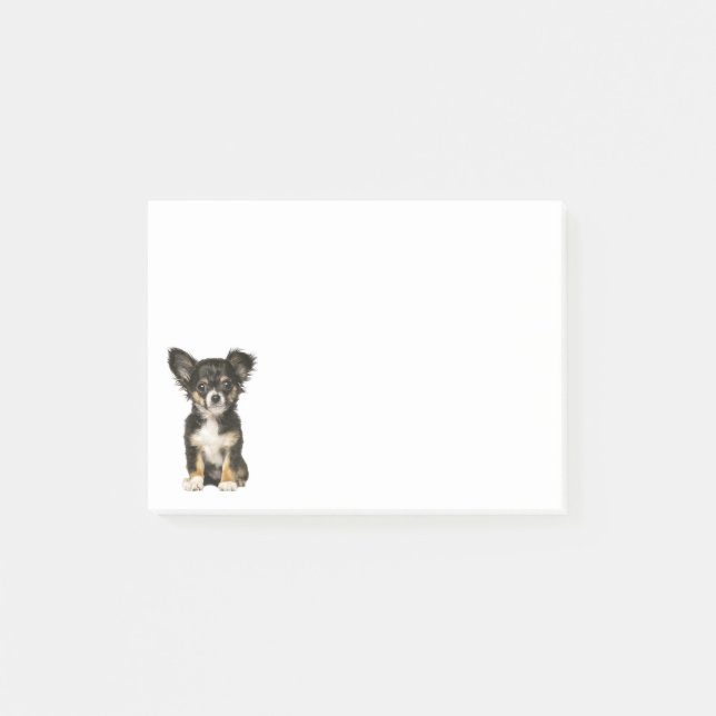 Long Hair Chihuahua Puppy Dog Post IT Sticky Notes (Front)