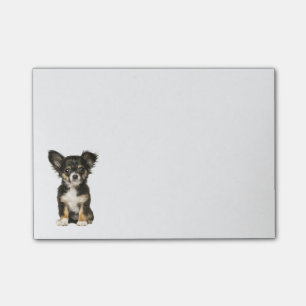 Long Hair Chihuahua Puppy Dog Post IT Sticky Notes