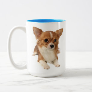 Long Hair Chihuahua Puppy Dog Two-Tone Coffee Mug