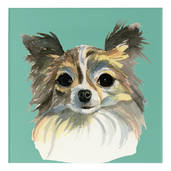 Long Hair Chihuahua Watercolor Portrait
