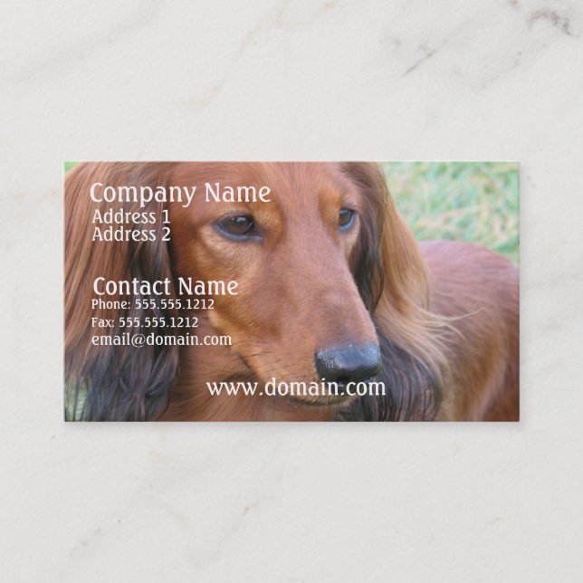 Long Hair Dachshund Business Card (Front)