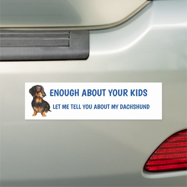 LONG HAIR DACHSHUND Car Magnet (In Situ)