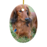 Long Hair Dachshund Ornament