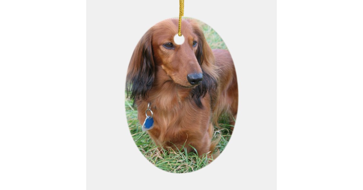 Long Hair Dachshund Ornament Zazzle