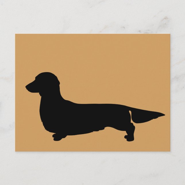 Long Hair Dachshund Postcard (Front)