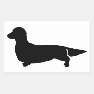 Dachshund Long Haired Dachshund Stickers | Zazzle