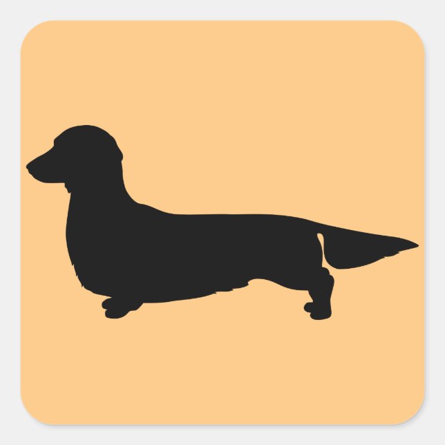 Long Hair Dachshund Square Sticker (Front)