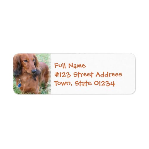 Long Hair Daschund Return Address Label