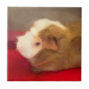 Long Hair Guinea Pig Ceramic Tile