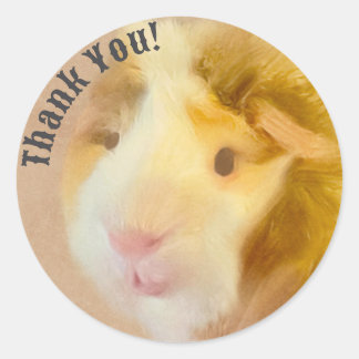 Long Hair Guinea Pig Classic Round Sticker