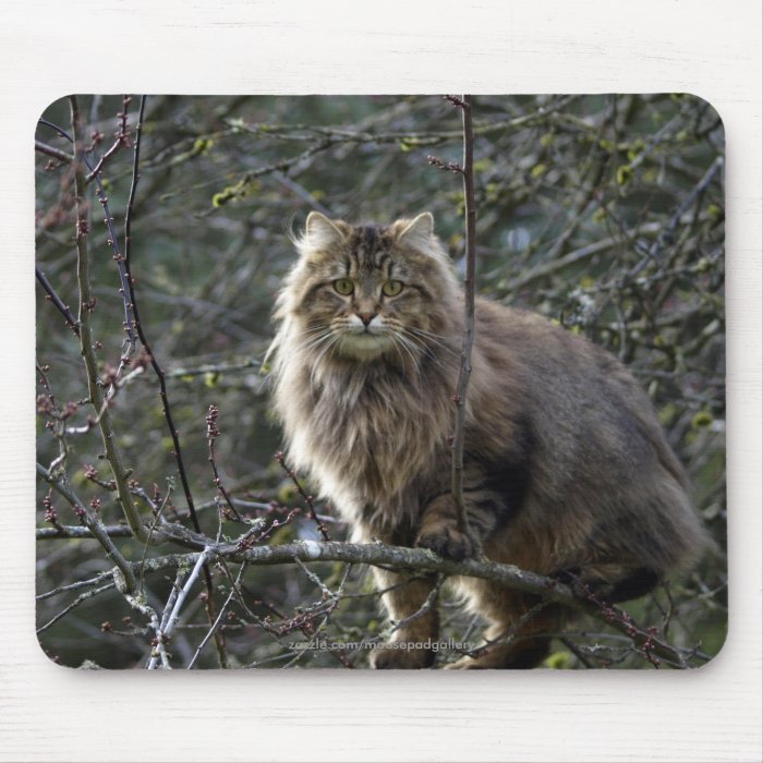 Long hair Tabby Cat Mousepad