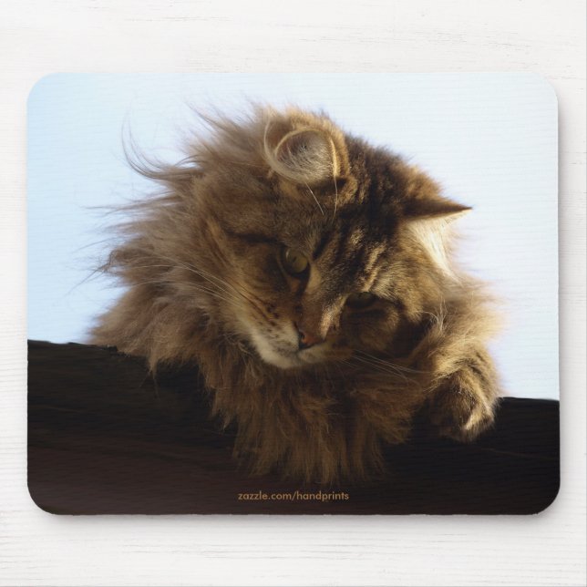 Long-hair Tabby Cat Mousepad (Front)